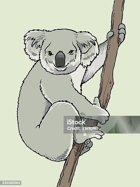 Koala Stock Illustration - Download Image Now - Koala, 2015, Animal