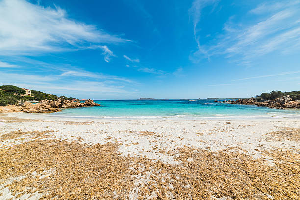 istock Capriccioli beach on a cloudy day 534480342