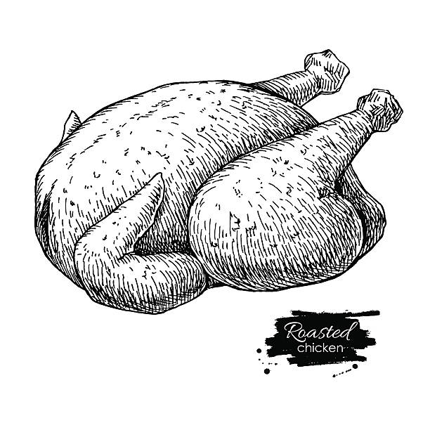 illustrazioni stock, clip art, cartoni animati e icone di tendenza di vettoriale arrosto di pollo intere. cibo illustrazione incisa. - cooked chicken sketching roasted