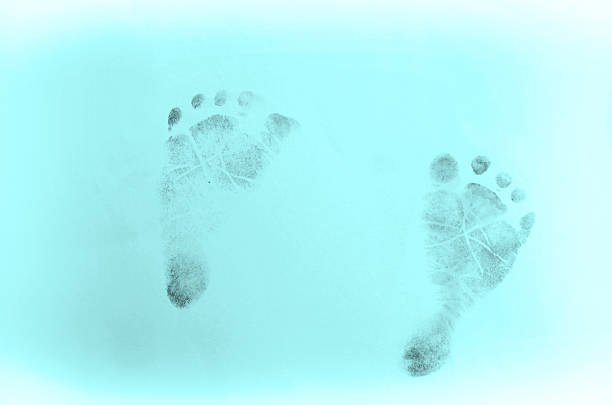 istock blue foot, watercolor element for design 534480828