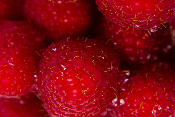 raspberry