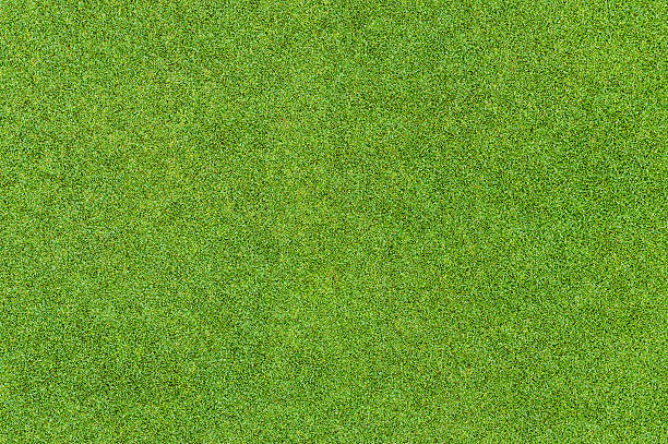 lindo padrão de grama verde do campo de golfe - outdoors ornamental garden front or back yard spring - fotografias e filmes do acervo