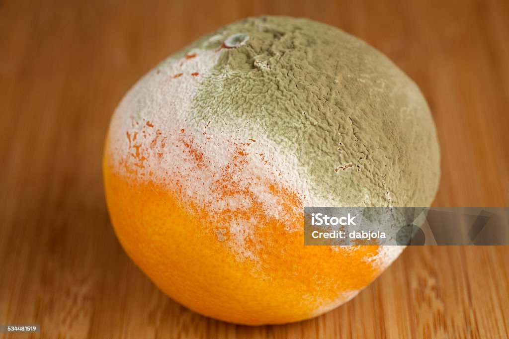 rotted mandarin whole rotted mandarin on table in kitchen 2015 Stock Photo