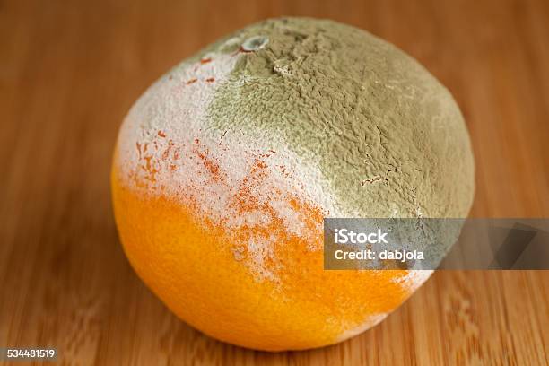 Rotted Mandarin Stock Photo - Download Image Now - 2015, Bacterium, Extreme Close-Up