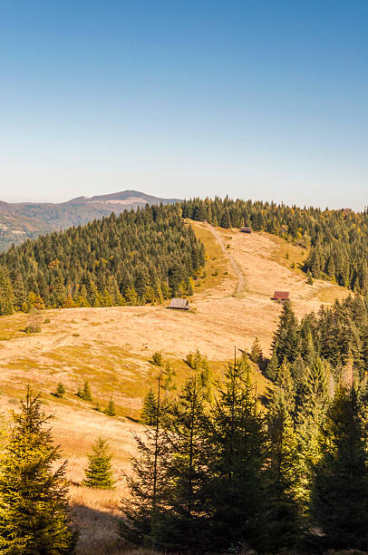 istock View the Clearing in Gorce in Poland 534481537