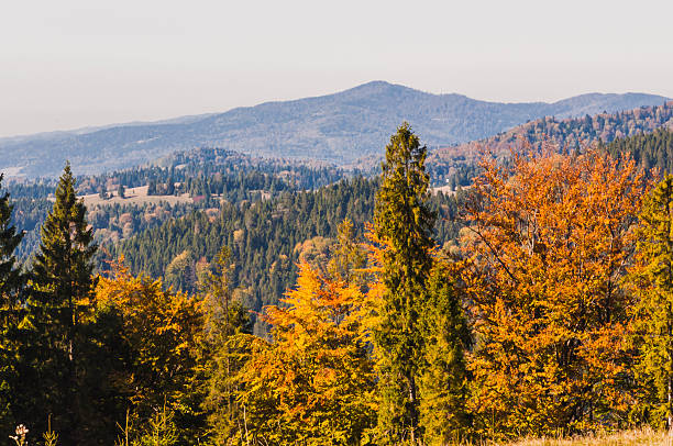 istock Autumn in the Mountains 534481711
