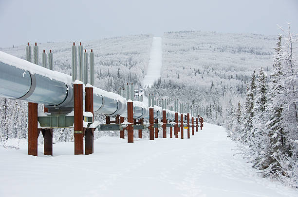 Winter Trans Alaska Pipeline with Snow stock photo