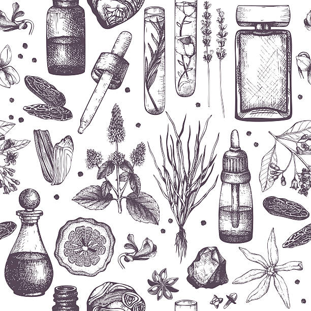 Organic and floral perfume ingredients background. Seamless pattern with hand drawn perfumery and cosmetics materials sketch. Vintage illustration drawing of the oregano plant stock illustrations