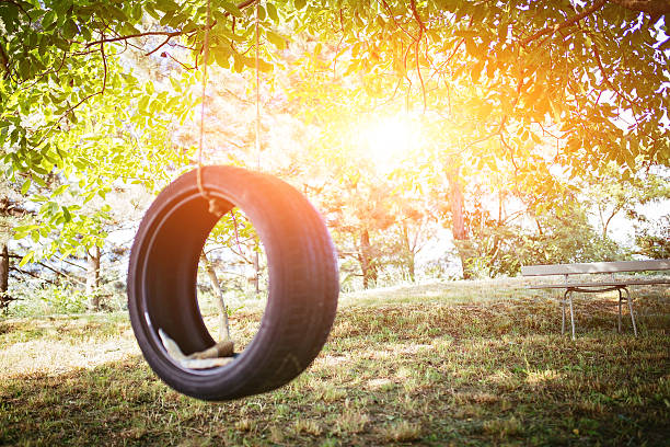 istock Tire swing in wood 534496962