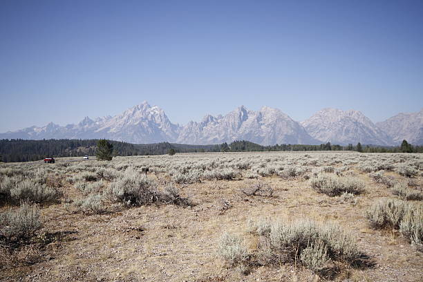 istock Yellowstone Grand Tetons 534500847