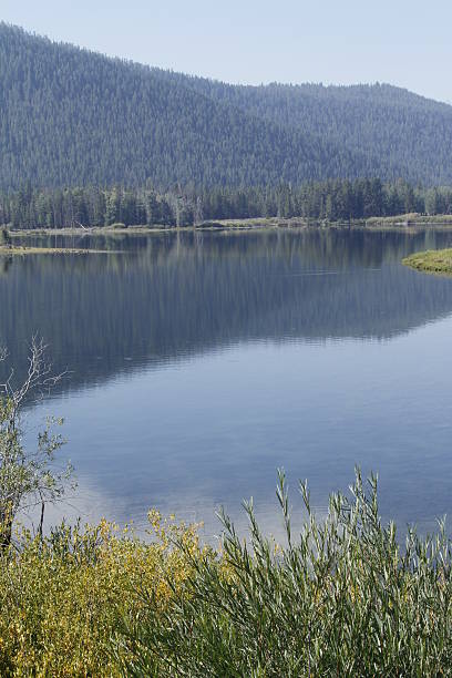 istock Yellowstone Grand Tetons 534501513