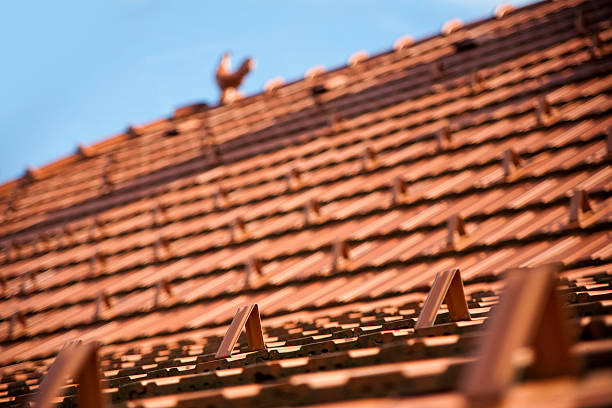 snow- parar unidade de detalhe - roof roof tile rooster weather vane imagens e fotografias de stock