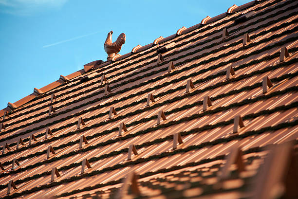 dach mit lehm hahn - roof roof tile rooster weather vane stock-fotos und bilder