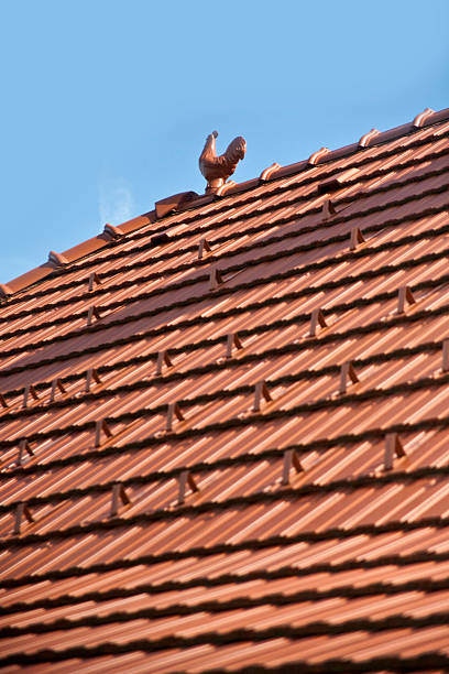 clay hahn auf dem dach - roof roof tile rooster weather vane stock-fotos und bilder