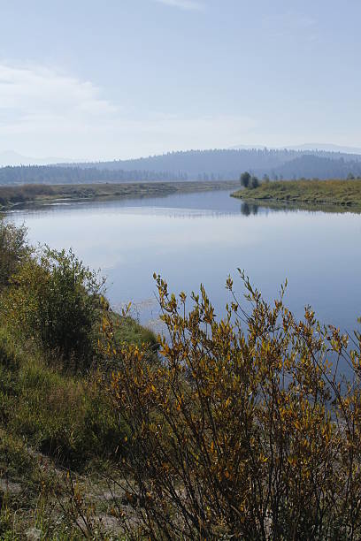 istock Yellowstone Grand Tetons 534502105