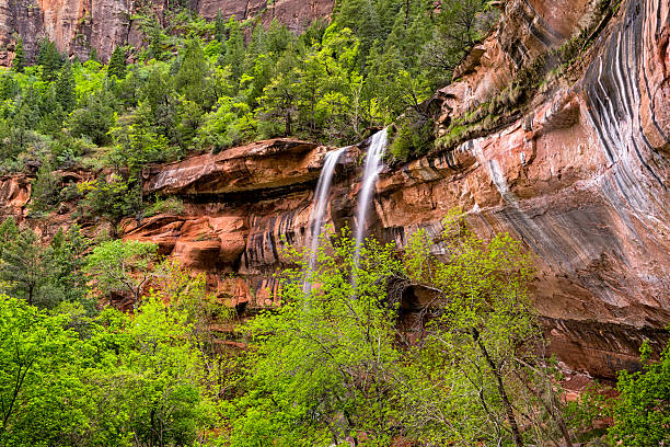 istock Zion Canyon Waterfalls in Spring 534502270