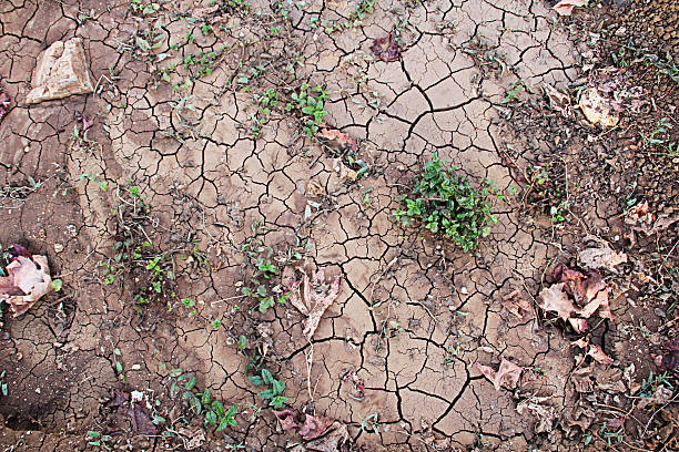 Dry soil stock photo