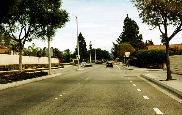 istock Southern California Street Scene 534505051