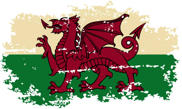 ilustrações de stock, clip art, desenhos animados e ícones de bandeira do grunge do país de gales. ilustração vetorial. - welsh flag grunge dirty bad condition