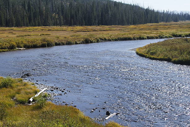 istock Yellowstone Grand Tetons 534507649