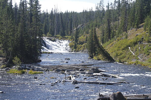 istock Yellowstone Grand Tetons 534509405