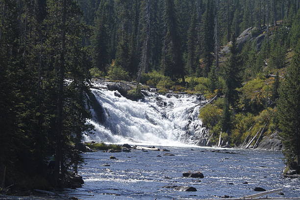 istock Yellowstone Grand Tetons 534509429