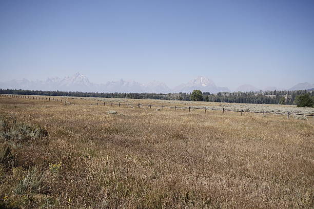istock Yellowstone Grand Tetons 534533139