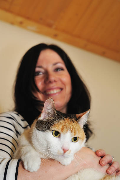 istock Cat holded by woman 534534257