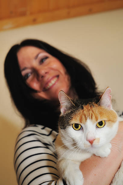 istock Cat holded by woman 534534269