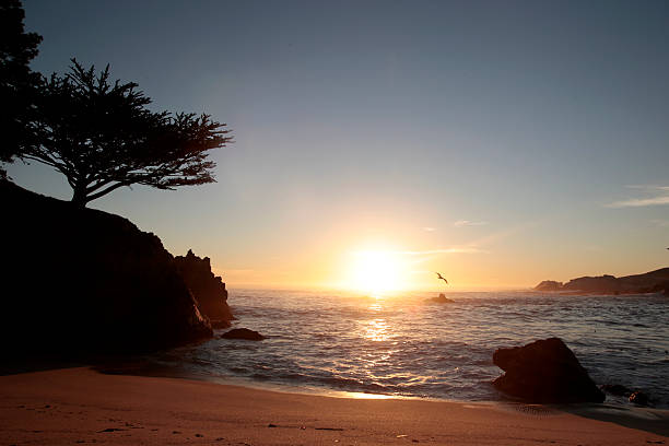 istock Point Lobos State Reserve, California 534534813