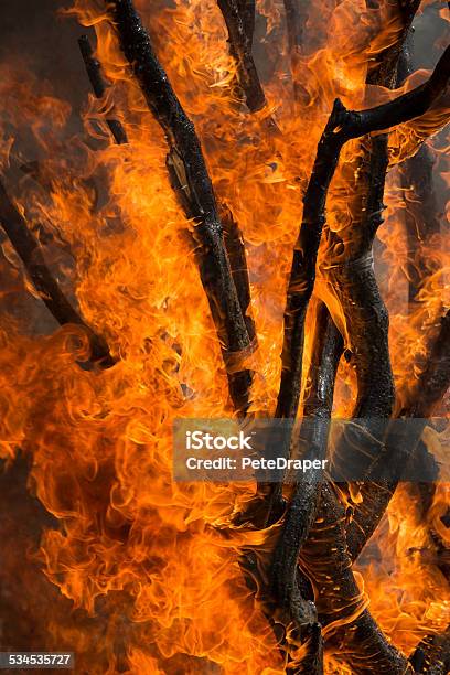 Forest Fire Stock Photo - Download Image Now - 2015, Accidents and Disasters, Air Pollution