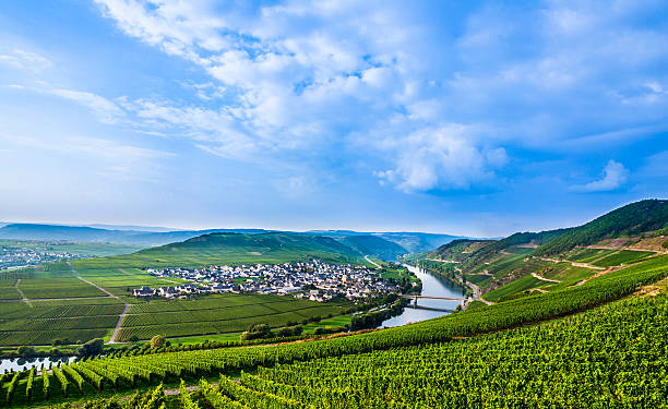 istock famous Moselle Sinuosity with vineyards 534536381