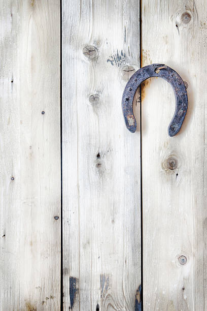 istock Old rusty horseshoe is hanging on a wooden background 534536905