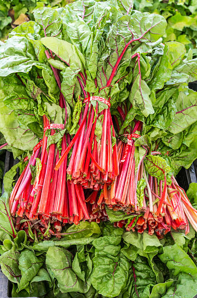 istock Display of fresh Swiss Chard 534537639