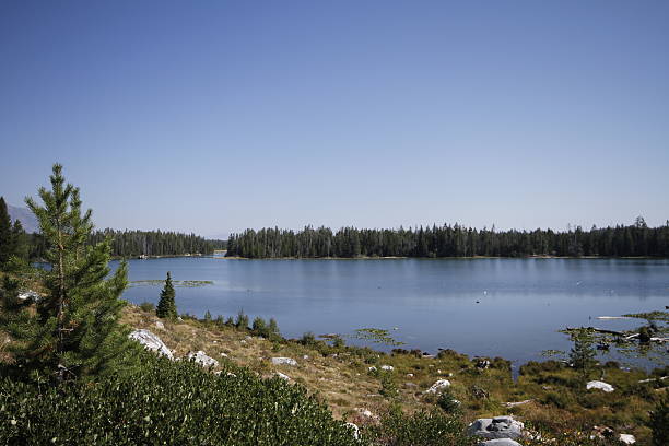 istock Yellowstone Grand Tetons 534537823