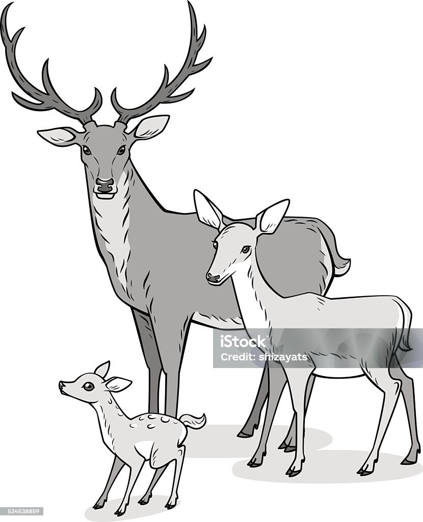 Deer family Drawing of a deer, a doe and fawn. Vector illustration Doe stock vector