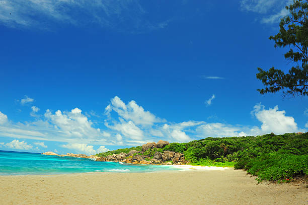 paradise island Dream seascape view, Seychelles doing the wave stock pictures, royalty-free photos & images