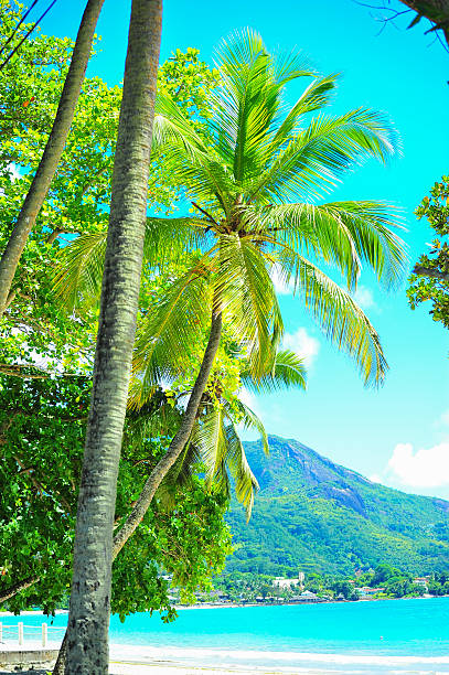 tropical melody Dream seascape view, Seychelles, La Digue island doing the wave stock pictures, royalty-free photos & images