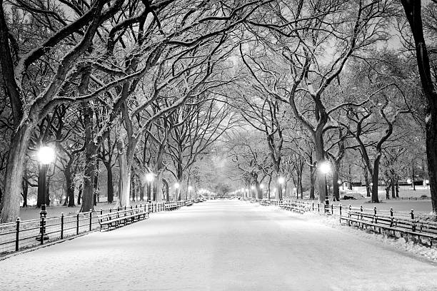 Central Park, NY covered in snow at dawn The Mall in Central Park, NYC, during a snow storm, early in the morning. central park manhattan stock pictures, royalty-free photos & images