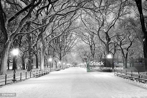 Central Park Ny Covered In Snow At Dawn Stock Photo - Download Image Now - Winter, New York City, Snow