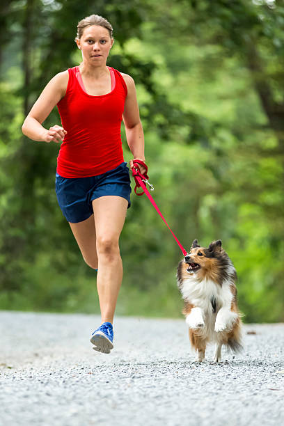istock girl jogging with a dog 534541239