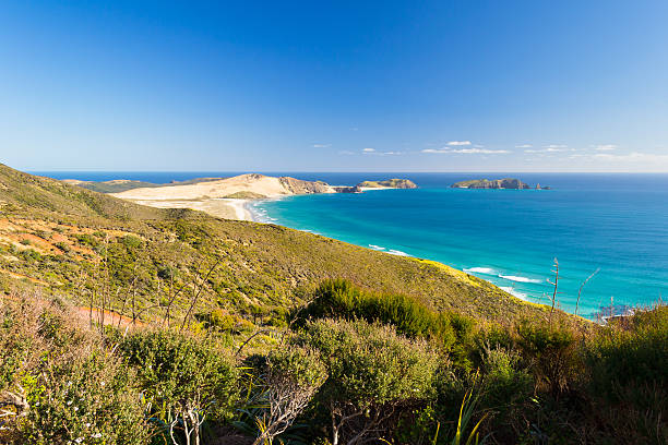 istock Tasman Sea at Cape Reinga 534542279