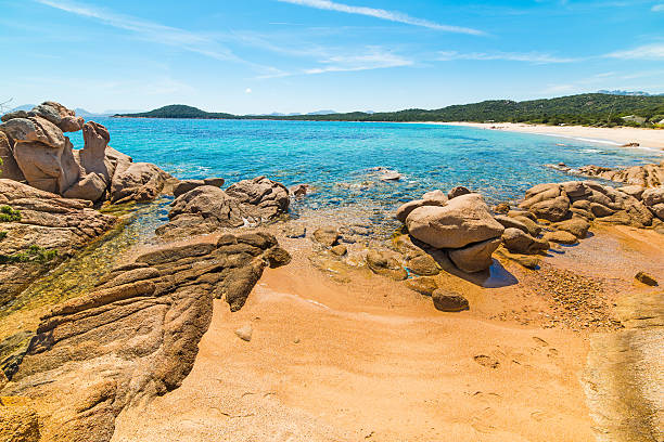 istock rocky shore in Liscia Ruja beach 534546128