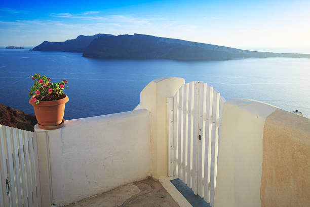 Door and plant in pot looking at the sea, Santorini, Greece.