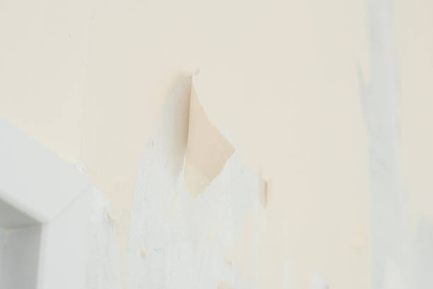 istock Removal of wallpaper. 534552794