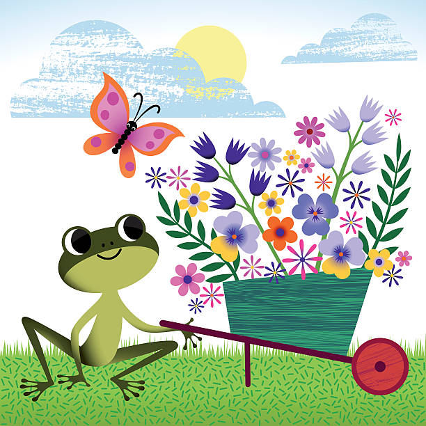 ilustraciones, imágenes clip art, dibujos animados e iconos de stock de rana en la primavera, verano al jardín. - tulip sunflower single flower flower