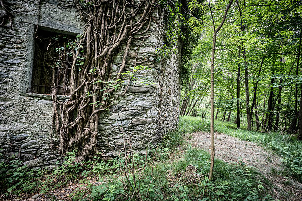 Abandoned church in the woods
