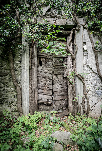 istock Abandoned church in the woods 534560054
