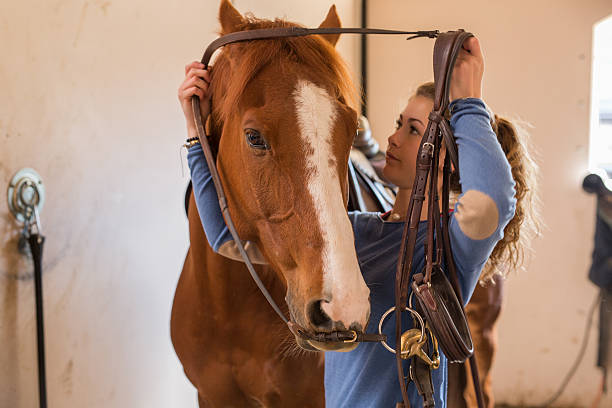 istock girl and horse 534561578
