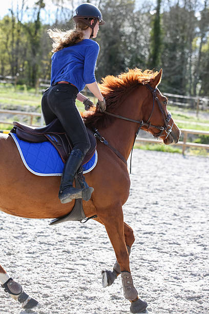 istock horsewoman training to jump before competition 534567498